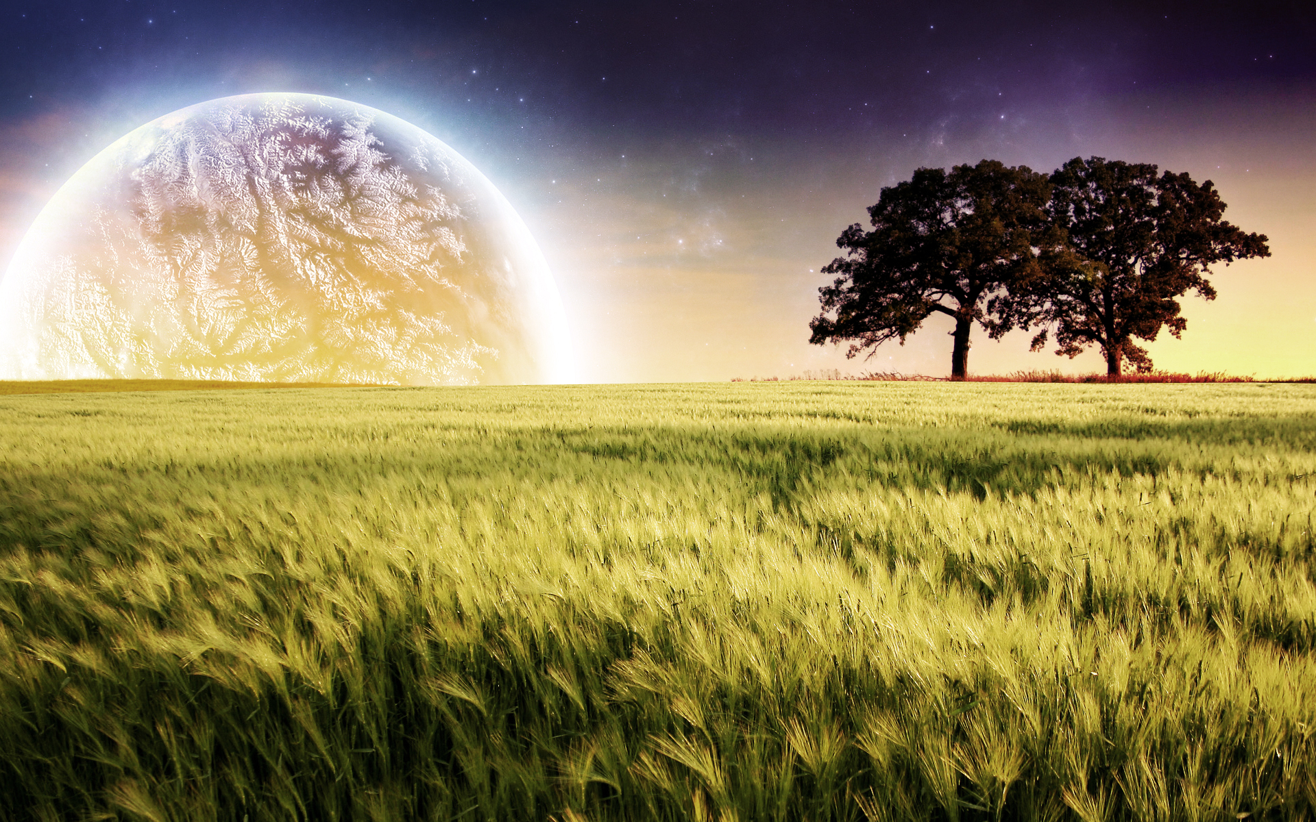 Planet Farm Trees Landscape249463634